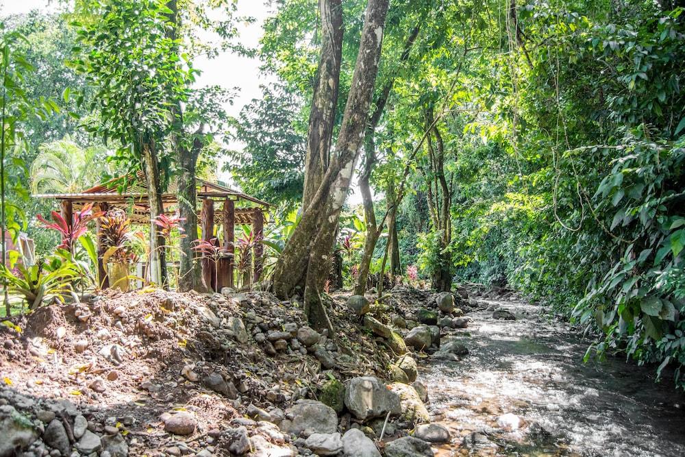 La Fortuna Hotel Lavas Del Arenal מראה חיצוני תמונה