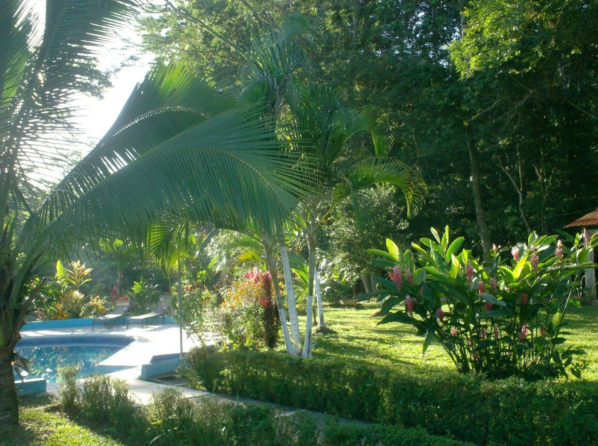 La Fortuna Hotel Lavas Del Arenal מראה חיצוני תמונה